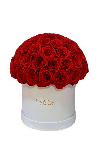 Heart of Fire - Medium