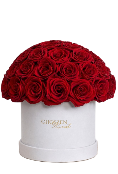 Heart of Fire - Medium